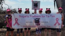 Fundraising Page Image