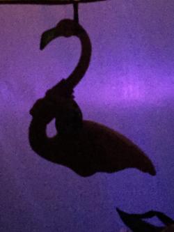 Fundraising Page Image